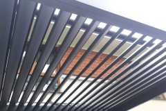 IMG-20260611-WA0000